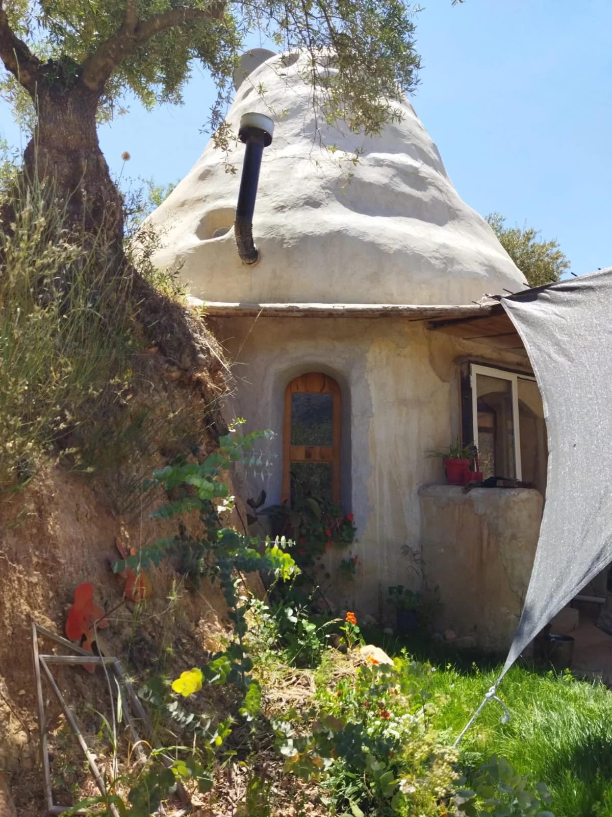 Round earth-built home among olive trees