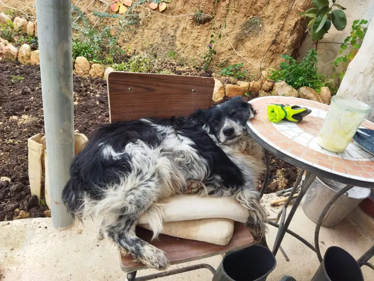 Terrace resting corner